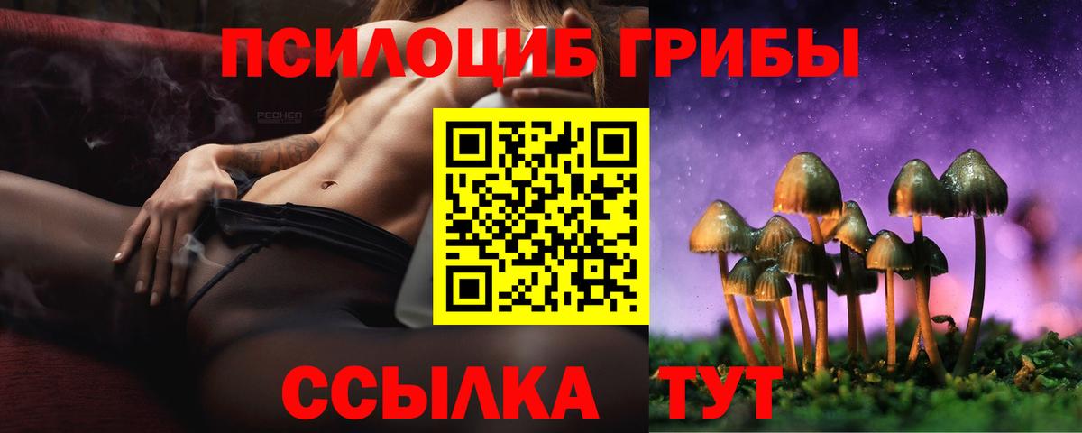 Галлюциногенные грибы Psilocybine cubensis  Псилоцибиновые грибы Psilocybine cubensis  Вход с VPN  Аргун 