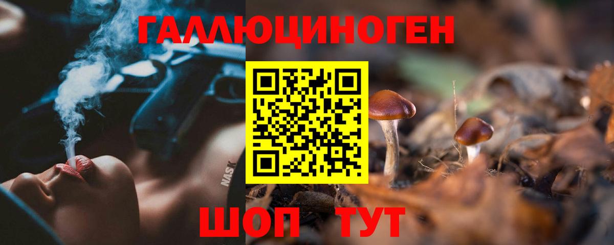 Галлюциногенные грибы GOLDEN TEACHER Аргун
